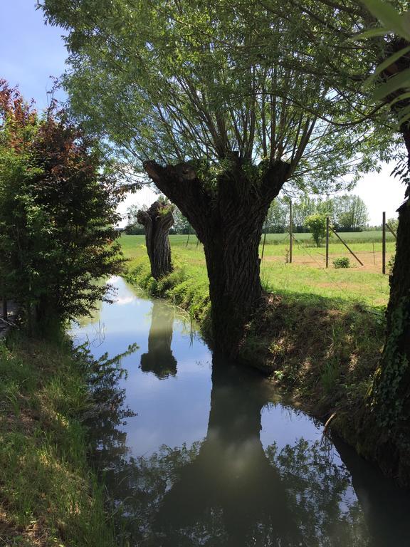 Corte Mondina Gazoldo degli Ippoliti Exteriér fotografie